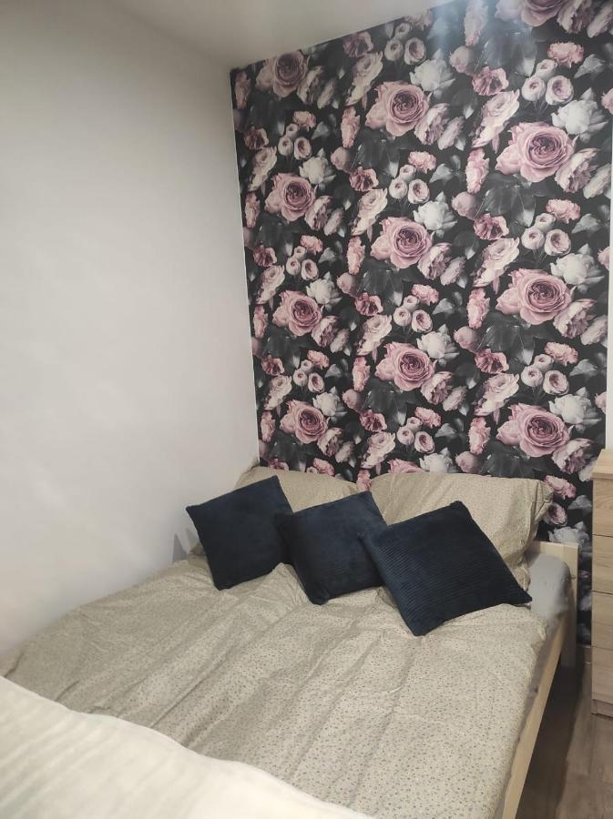 Walbrzych Pilsuckiego News Apartament公寓 外观 照片