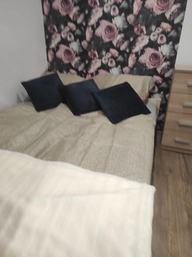 Walbrzych Pilsuckiego News Apartament公寓 外观 照片