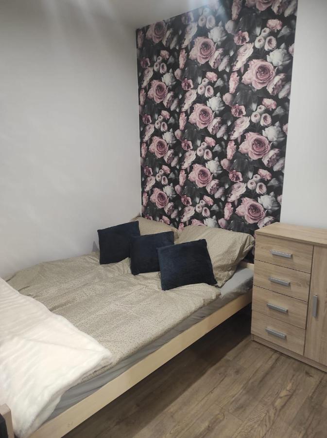 Walbrzych Pilsuckiego News Apartament公寓 外观 照片